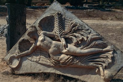 Severan 论坛上的 Septimus Severus 拱门浮雕，描绘了胜利、利比亚、历史悠久的的黎波里塔尼亚、Leptis Magna 的有翼女神（联合国教科文组织世界遗产名录） 作者 未知未知