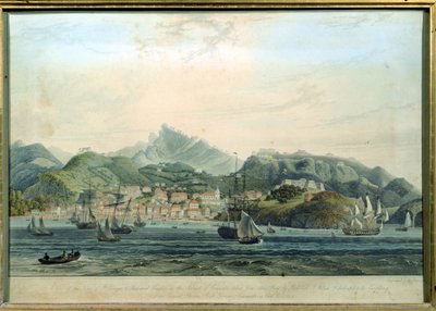格林纳达岛上的圣乔治镇和里士满高地的景色，由William Daniell 1769-1837雕刻，c.1810雕刻 作者 威尔逊中校