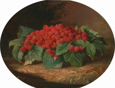 覆盆子，约1859年。 作者 莉莉·马丁·斯宾塞