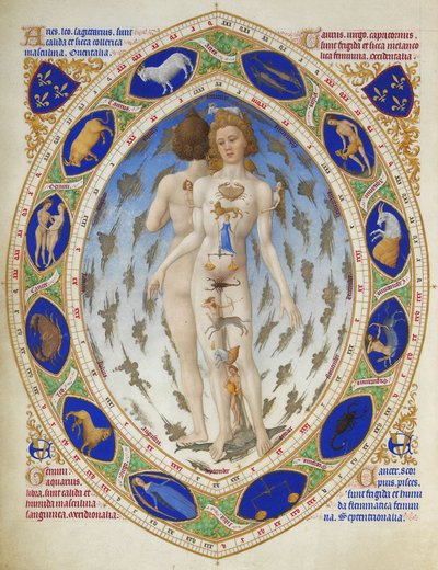 贝里公爵的辉煌岁月》：解剖学人 作者 Limbourg Brothers
