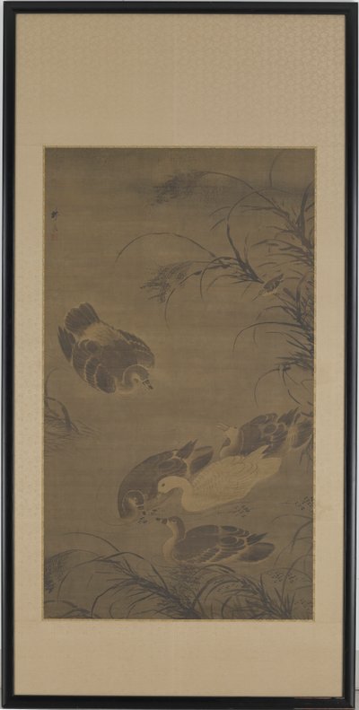 游泳的鹅 作者 林亮