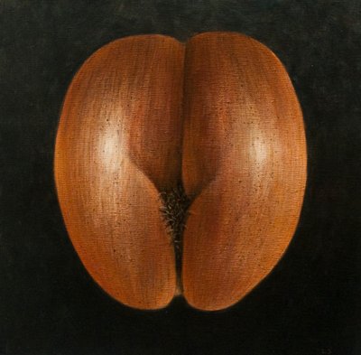 Coco de Mer，2010（画布上的丙烯酸） 作者 Lincoln Seligman
