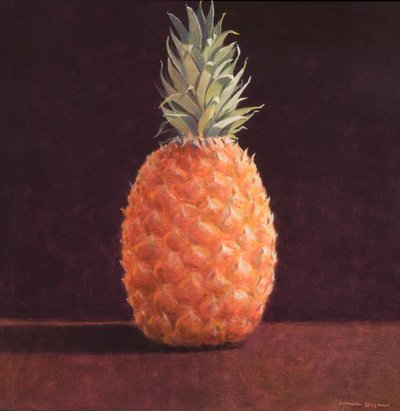 菠萝 作者 Lincoln Seligman