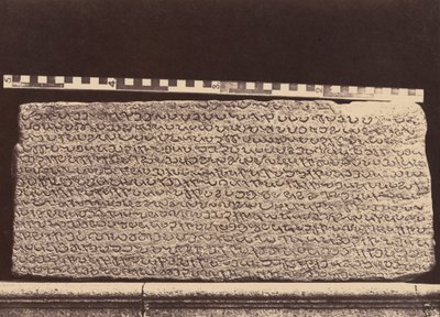 埃利奥特大理石，1859 年（照片） 作者 林奈牛肚
