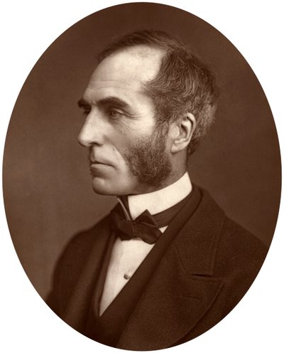 戈德温·史密斯（Goldwin Smith），教授，1878年 作者 洛克和惠特菲尔德