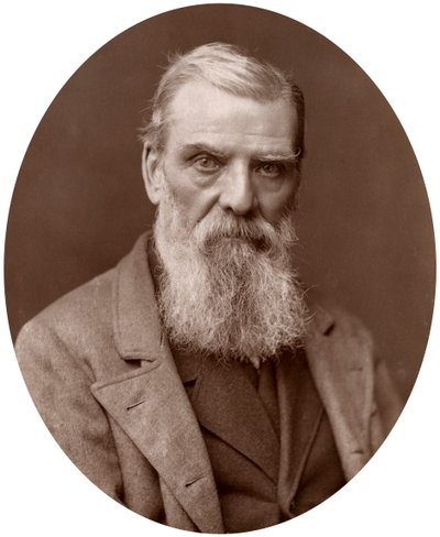理查德·安斯德尔（Richard Ansdell），RA，英国画家，1883年。 作者 洛克和惠特菲尔德