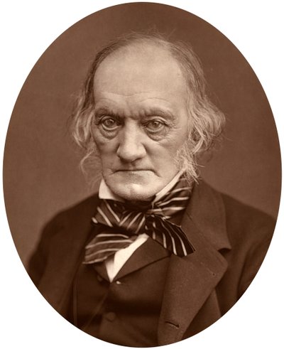 理查德·欧文（Richard Owen），1878年。 作者 洛克和惠特菲尔德