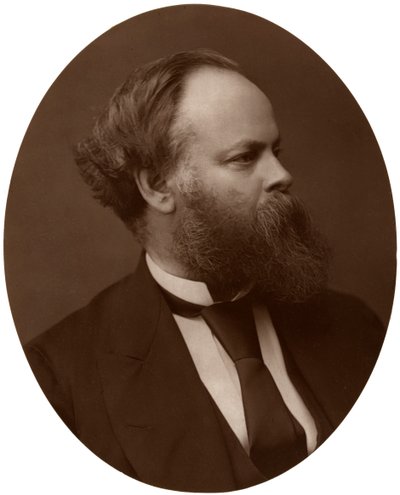 塞缪尔·普利姆索尔（Samuel Plimsoll），Esq，国会议员，英国自由党政治家和社会改革家，1876年。 作者 洛克和惠特菲尔德