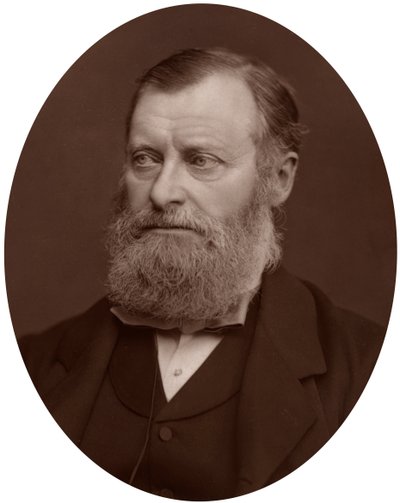 威廉·爱德华·福斯特（William Edward Forster）议员，1878年。 作者 洛克和惠特菲尔德
