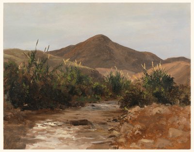 绘图，杰里科附近，瓦迪基尔特，1876 年 3 月 20 日 作者 洛克伍德德福雷斯特