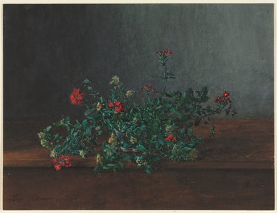 野花静物 作者 莱昂·邦万