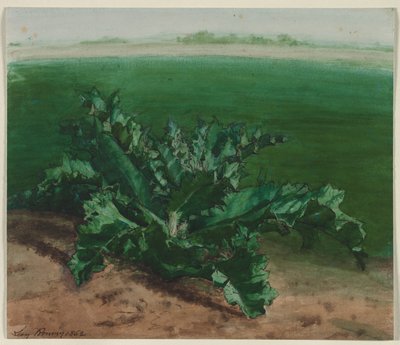 研究一种植物，可能是蓟草 作者 莱昂·邦万
