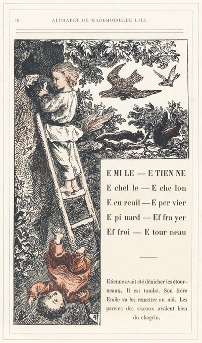 Emile、Etienne、Echelle、Echelon、Squirrel、Sparrow、Epinard、Scarer、Farry、Stourneau，第 18 页 - Lili 小姐、L. Froelich 和一位父亲（Hetzel 本人）的字母表。巴黎 J. Hetzel  Cie 图书馆和教育与娱乐杂志社 作者 洛伦兹·弗罗利希
