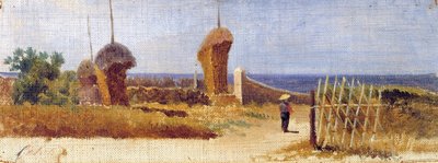 卡斯蒂利翁切洛，约 1862-63（纸板上的布面油画） 作者 洛伦佐·格拉蒂