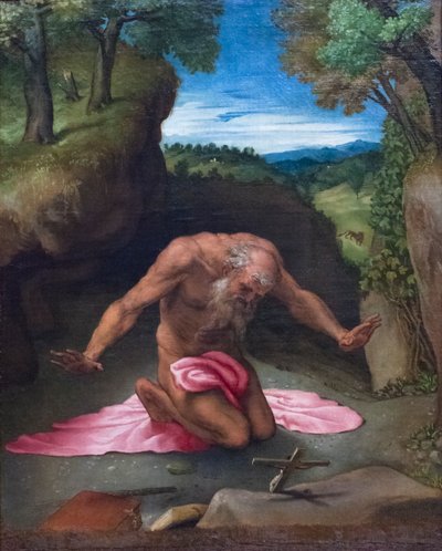 忏悔的圣人杰罗姆 作者 洛伦佐·乐透（Lorenzo Lotto）
