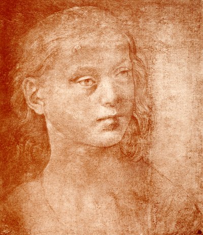 女孩头 作者 洛伦佐·迪·克雷迪