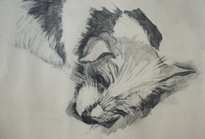 Jack Russel，2015， 作者 卢·吉布斯