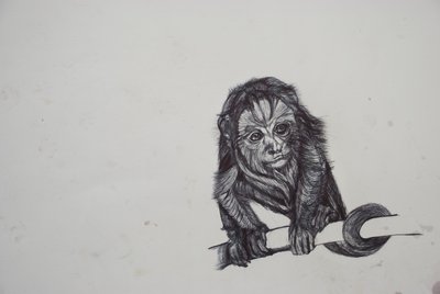 Monkey Business，2016，（纸上的比比罗） 作者 卢·吉布斯