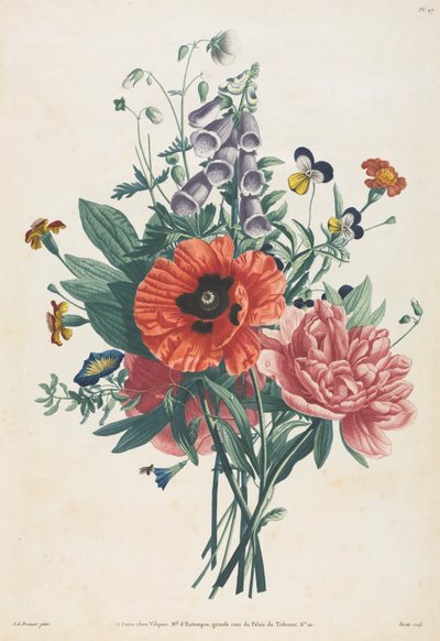 仿自然花果画集：  狐尾草、铁线莲、三色堇、牡丹、罂粟和黄萱草花束 作者 在让·路易斯·普雷沃之后