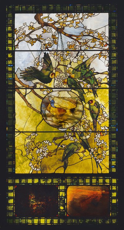 长尾小鹦鹉和金鱼缸，约1893年 作者 路易斯·康福特·蒂芙尼