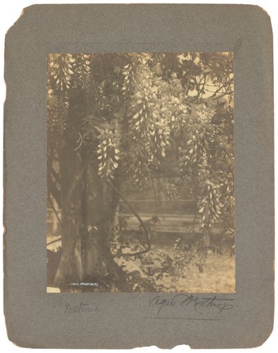 蒂芙尼工作室，c.1898-1920（黑白照片） 作者 路易斯·康福特·蒂芙尼