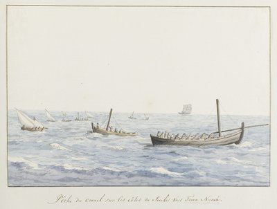 西西里岛 Terra Nuova 海岸边的珊瑚渔民
Pêche du corail sur les côtes de Sicile vers Terra Nuova（物上标题）
Voyage en Italie, en Sicile et à Malte - 1778（系列标题） 作者 路易斯·杜克罗斯