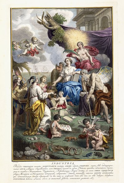 产业，从“事最富有的自然宝藏新星描述”标题页，1734年至1765年 作者 Louis Fabricius Dubourg