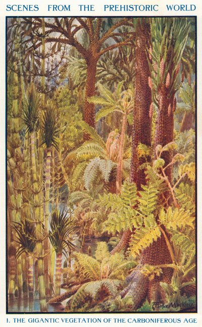 石炭纪的巨大植被（彩色石版画） 作者 路易·费尔法克斯·马克利
