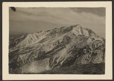 山景 作者 路易斯·弗莱肯斯坦