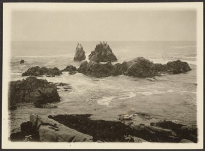 [海景] 作者 路易斯·弗莱肯斯坦