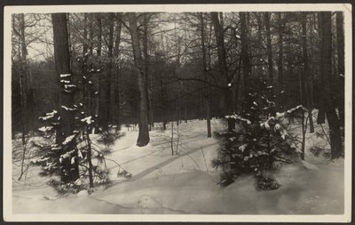 雪景 作者 路易斯·弗莱肯斯坦