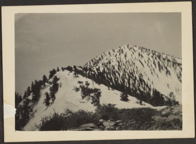 [望远镜峰] 作者 路易斯·弗莱肯斯坦