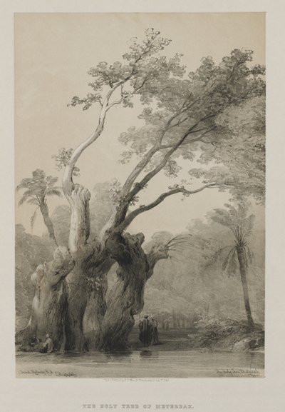 埃及和努比亚，第三卷：米特亚的圣树，1849年。 作者 路易斯·哈格