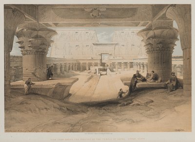 埃及和努比亚，第一卷：埃德福神庙门廊下的景色，上埃及，1847年。 作者 路易斯·哈格