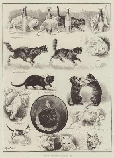 弗雷德里克斯教授的表演猫 作者 Louis Wain