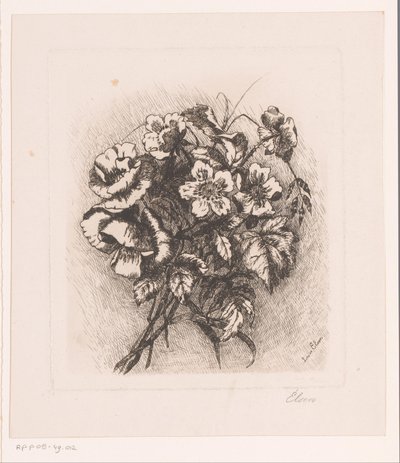 罂粟花和海葵静物画 作者 路易丝·埃尔森