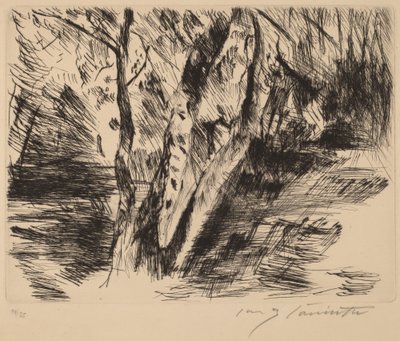 蒂尔加登的白桦树 (蒂尔加登的白桦树) 作者 洛维斯·科林斯（Lovis Corinth）