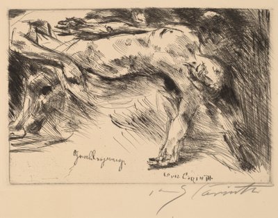 埋葬 作者 洛维斯·科林斯（Lovis Corinth）