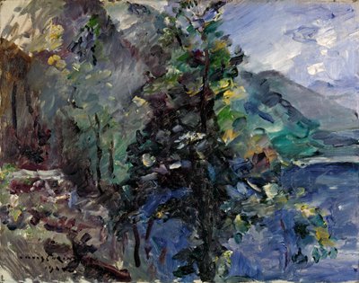 约赫贝格在瓦尔兴湖 作者 洛维斯·科林斯（Lovis Corinth）