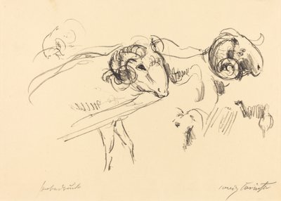 公羊 (rams) 作者 洛维斯·科林斯（Lovis Corinth）