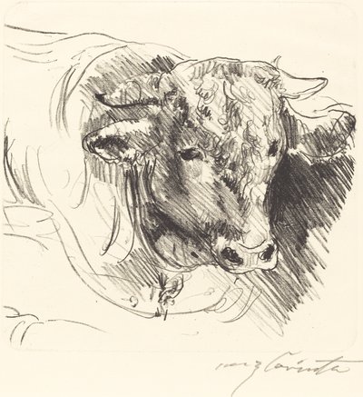 Stierkopf的牛头，1912年。 作者 洛维斯·科林斯（Lovis Corinth）