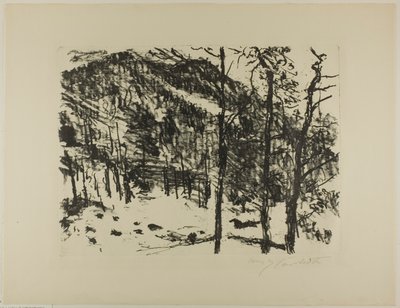 山谷，选自《山中早春 作者 洛维斯·科林斯（Lovis Corinth）