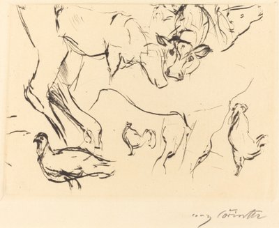杂项动物研究 动物研究，1917年。 作者 洛维斯·科林斯（Lovis Corinth）