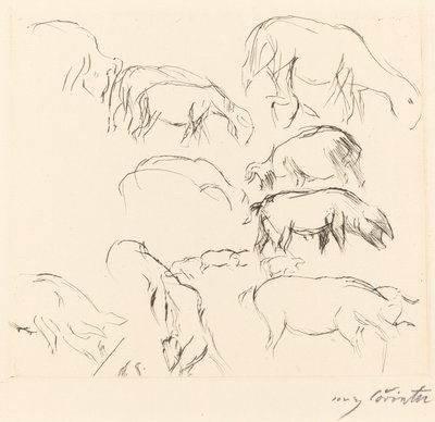 杂项动物研究 动物研究，1917年。 作者 洛维斯·科林斯（Lovis Corinth）