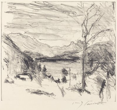 雾中的瓦尔琴湖 雾中的瓦尔琴湖，1920年。 作者 洛维斯·科林斯（Lovis Corinth）