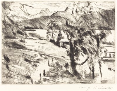 瓦尔钦湖景观(Walchensee Landscape) 作者 洛维斯·科林斯（Lovis Corinth）