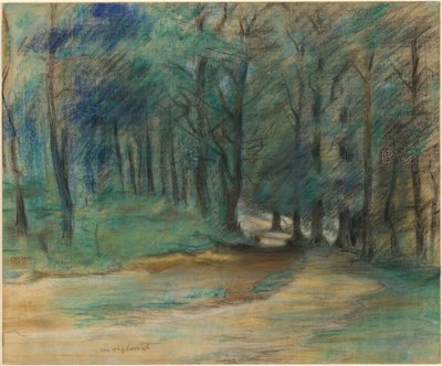 林地小径 作者 洛维斯·科林斯（Lovis Corinth）