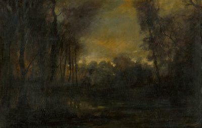沼泽地景观 作者 拉斯洛（Laszlo Mednyanszky）