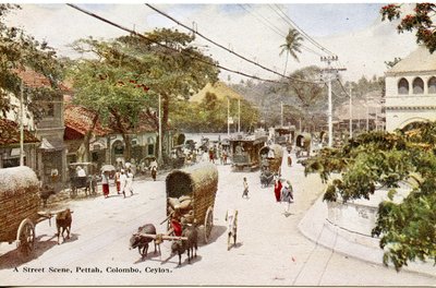 街景，Pettah，科伦坡，锡兰，c.1900-20（手工彩色照片） 作者 有限公司锡兰普拉特