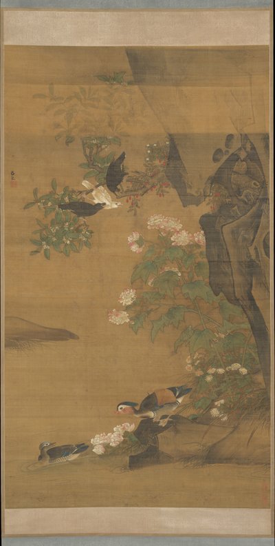 鸳鸯和棉花玫瑰木槿。 作者 陆吉
